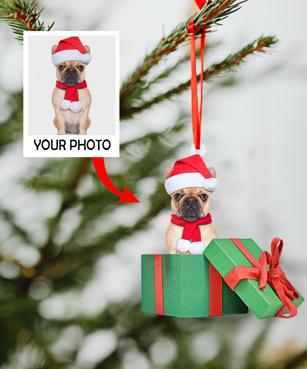 Custom Photo Ornament - Cute Dog Photo Ornament - Christmas, Birthday Gift For Pet Mom, Pet Dad, Dog Mom, Dog Dad, Cat Mom, Cat Dad, Dog Parents | Dog box