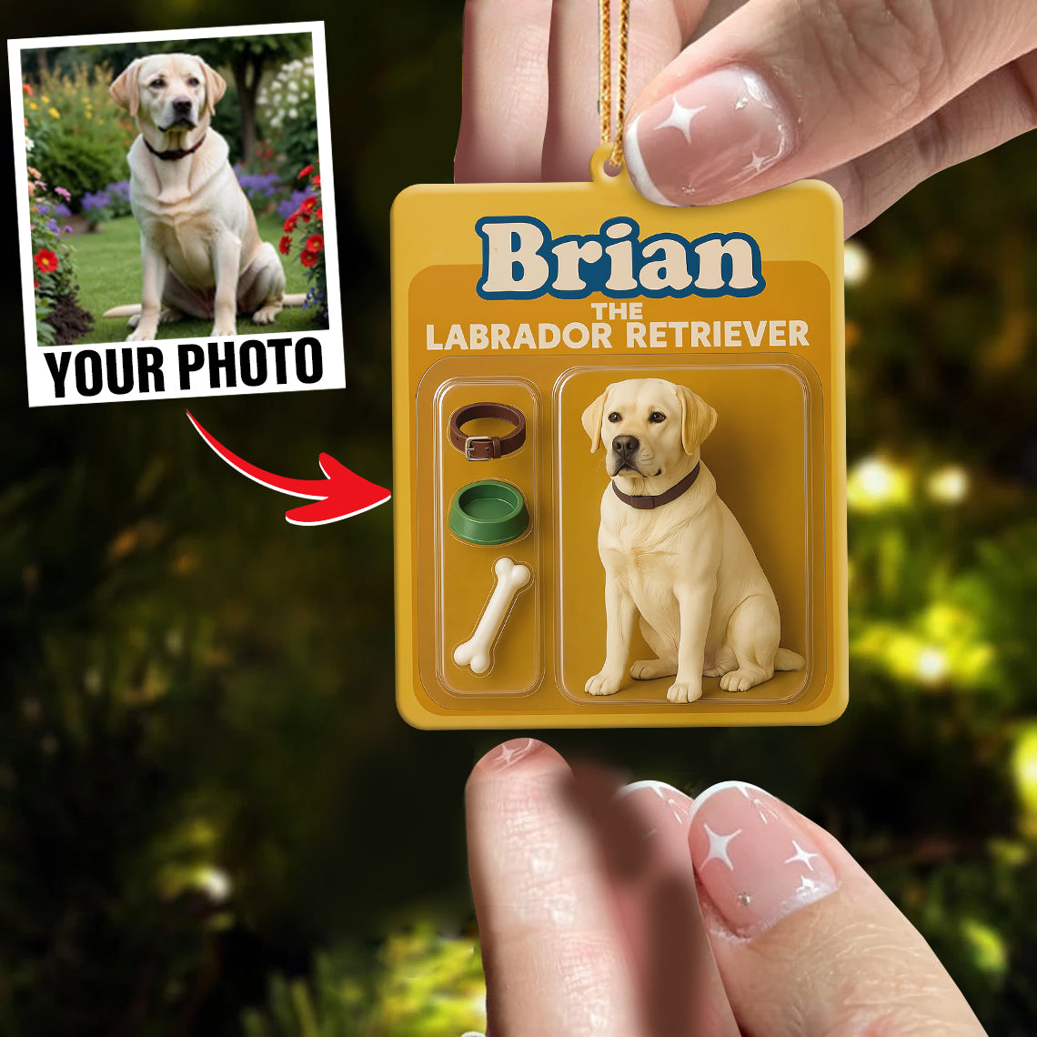 Turn Your Photo into an Action Figure - Custom Photo Ornament Toy Box Portrait | Labrador Retriever