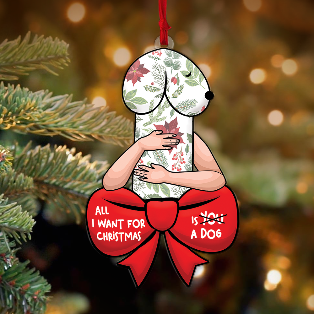 Funny Christmas Ornament, Dirty Christmas Ornament, All I Want For Christmas Is A Dog, Dog Lover Gift