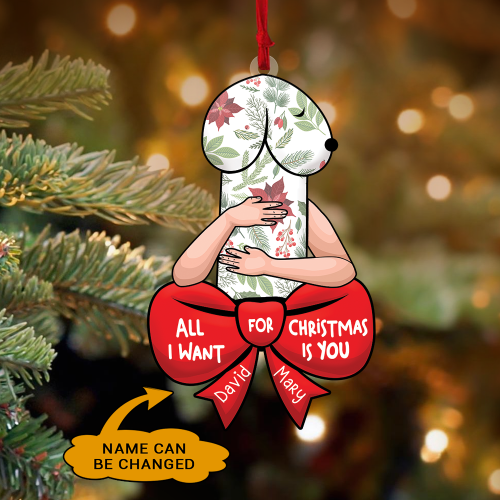 Funny Christmas Ornament, Dirty Christmas Ornament, Couple Ornament, Naughty Gift For Couple | Dick Couple