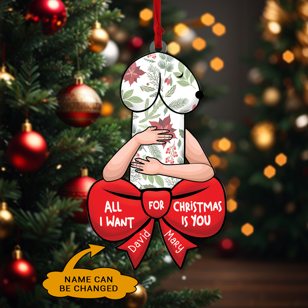 Funny Christmas Ornament, Dirty Christmas Ornament, Couple Ornament, Naughty Gift For Couple | Dick Couple