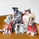 Custom Pet Photo Pillow, Custom Pet Memorial Pillow, Home Decoration, Custom Shaped Pillow, Funny Gift