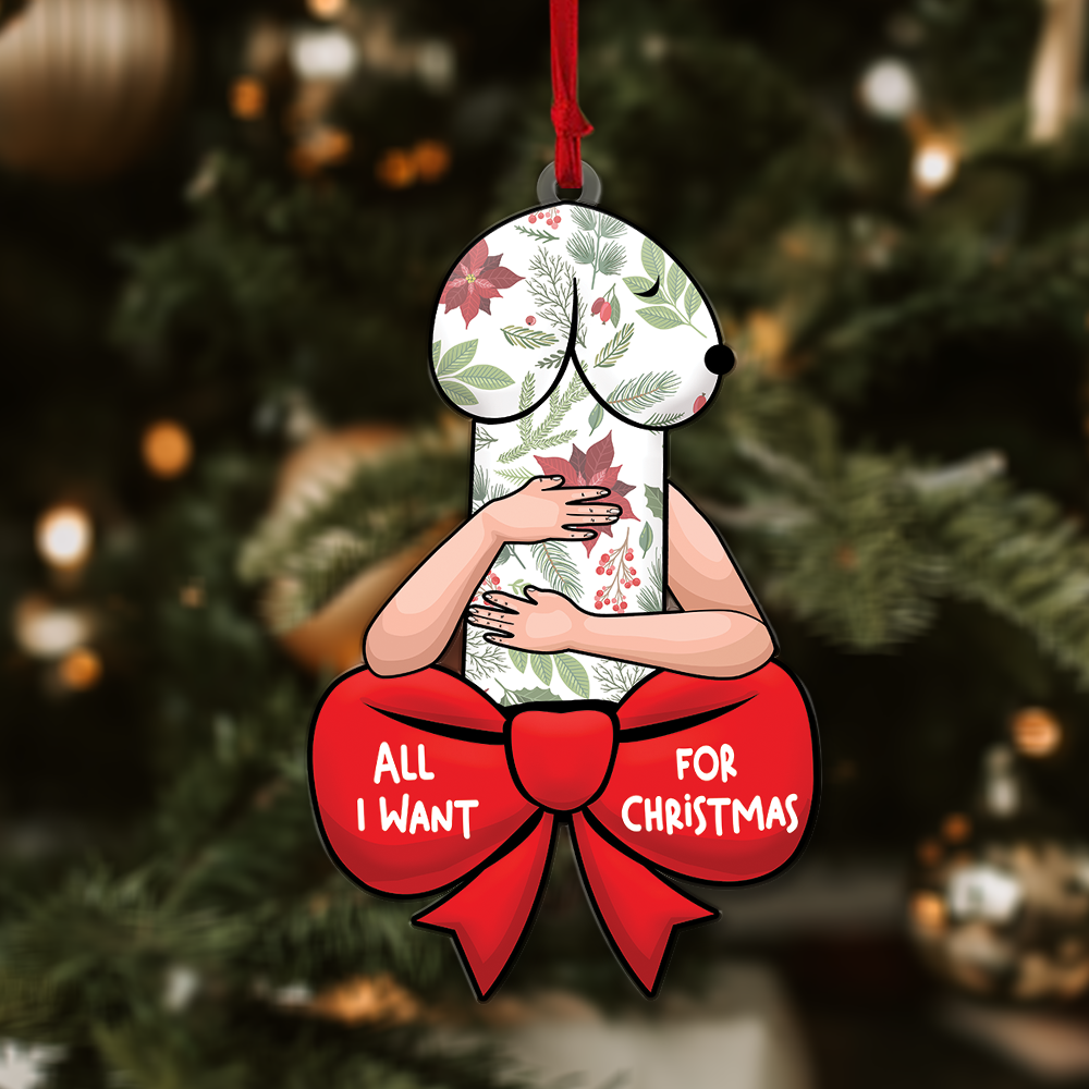 Funny Christmas Ornament, Dirty Christmas Ornament, All I Want For Christmas