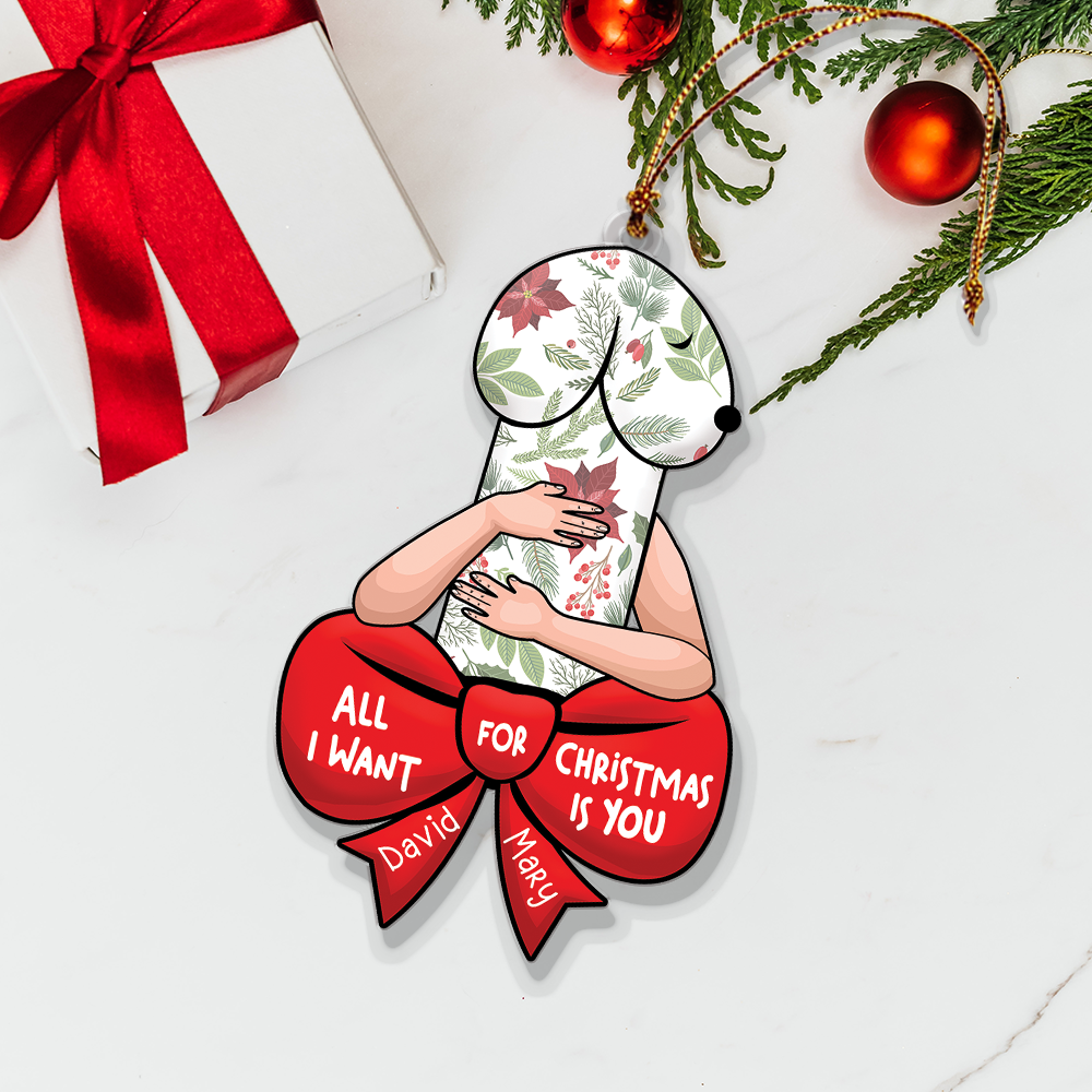 Funny Christmas Ornament, Dirty Christmas Ornament, Couple Ornament, Naughty Gift For Couple | Dick Couple
