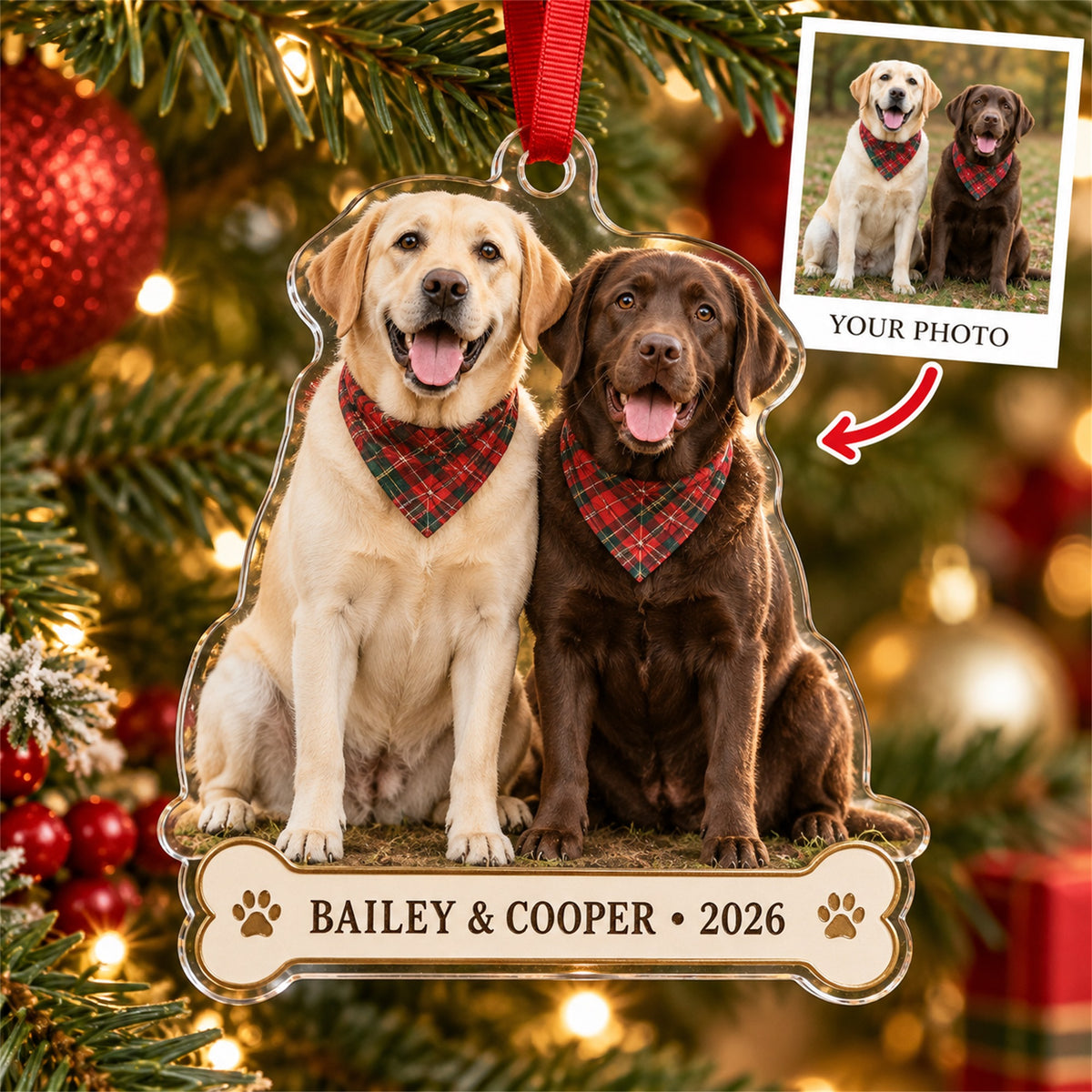 Personalized Two Dogs Acrylic Ornament - Custom Photo Keepsake - image 1