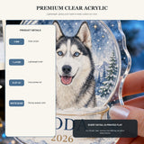Personalized Snow Globe Dog Photo Acrylic Ornament - Custom Pet Keepsake - image 9