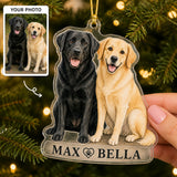 Personalized Two Best Friends Photo Acrylic Ornament - Custom Pet Keepsake - image 1