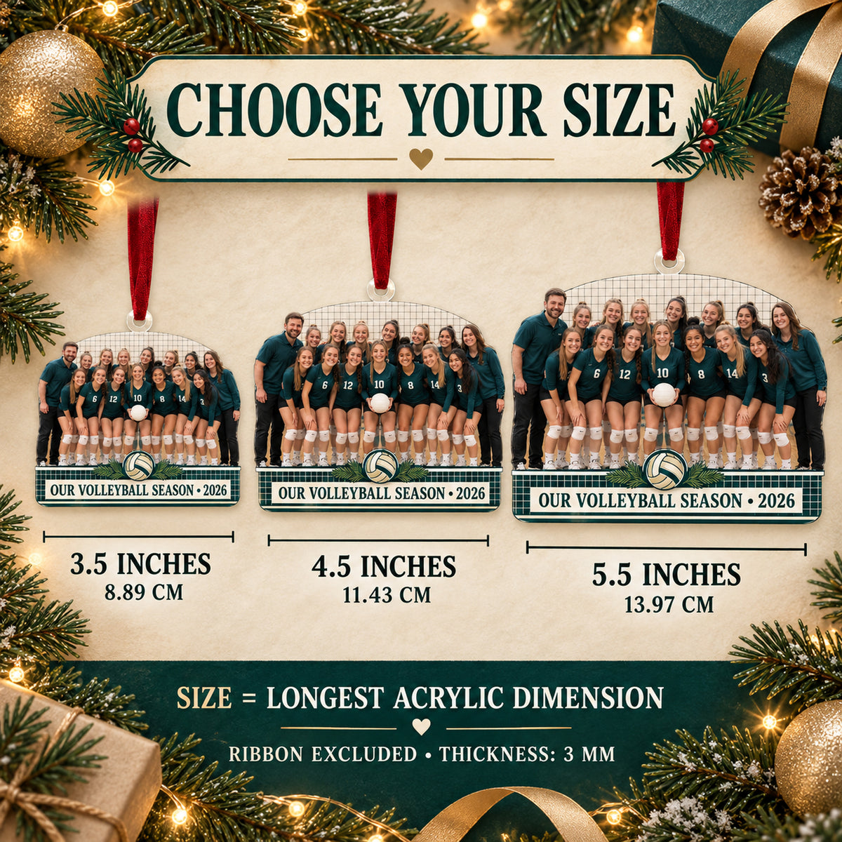 Custom Photo Full Team Net Lineup Acrylic Ornament — Size guide