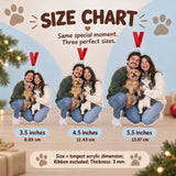 Custom Photo Two Pets One Selfie Acrylic Ornament — Size guide