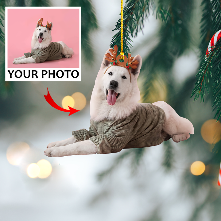Customized Photo Ornament - Personalized Photo Mica Ornament - Christmas Gift For Pet Lovers, Dog Mom, Cat Mom | Dog
